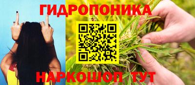 mdma Тара