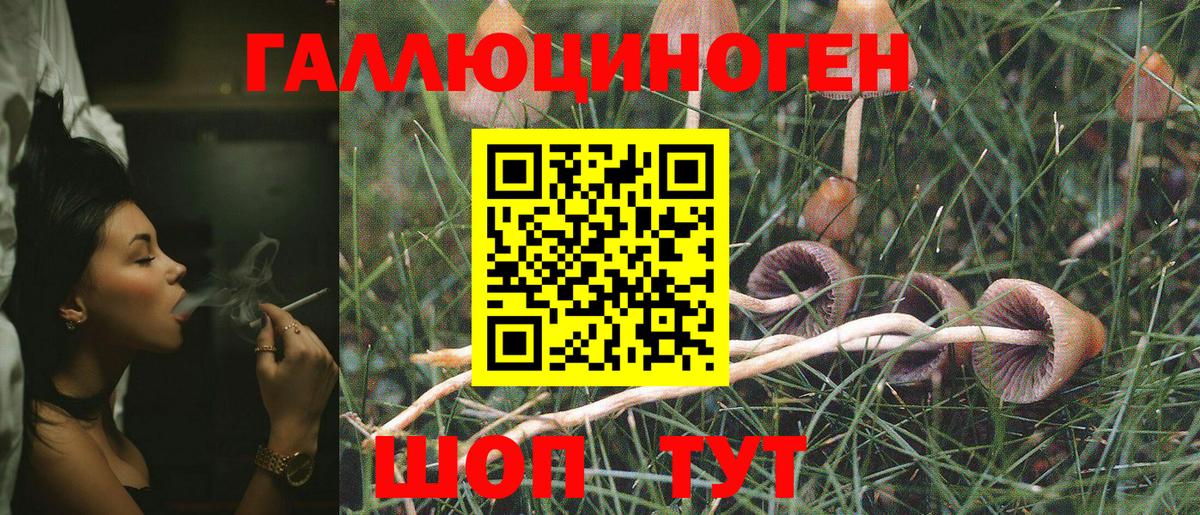 Михайловка  Псилоцибиновые грибы MAGIC MUSHROOMS  Галлюциногенные грибы GOLDEN TEACHER  Вход с VPN 